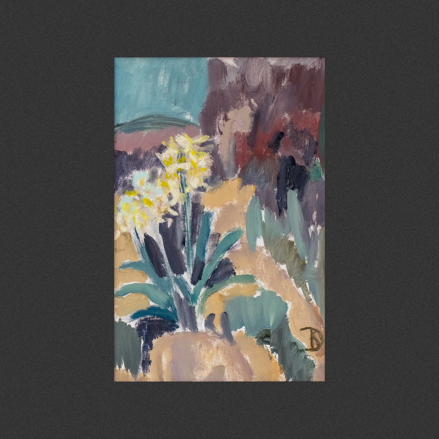 Flowering Daffodils