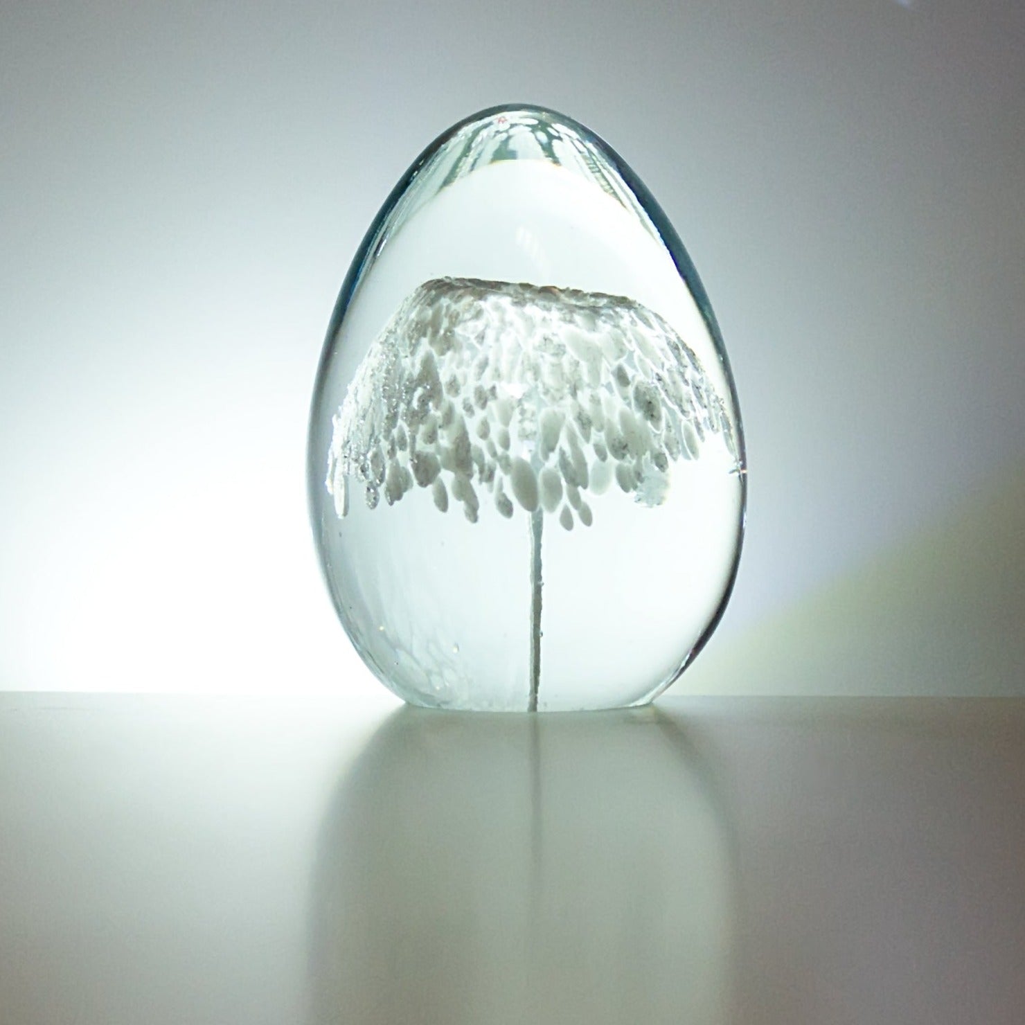 Transparent paperweight egg with white tree inside