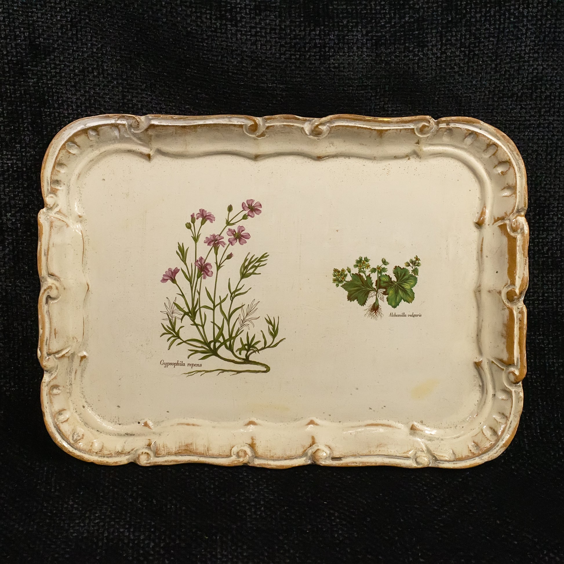 Italian botanical wooden tray