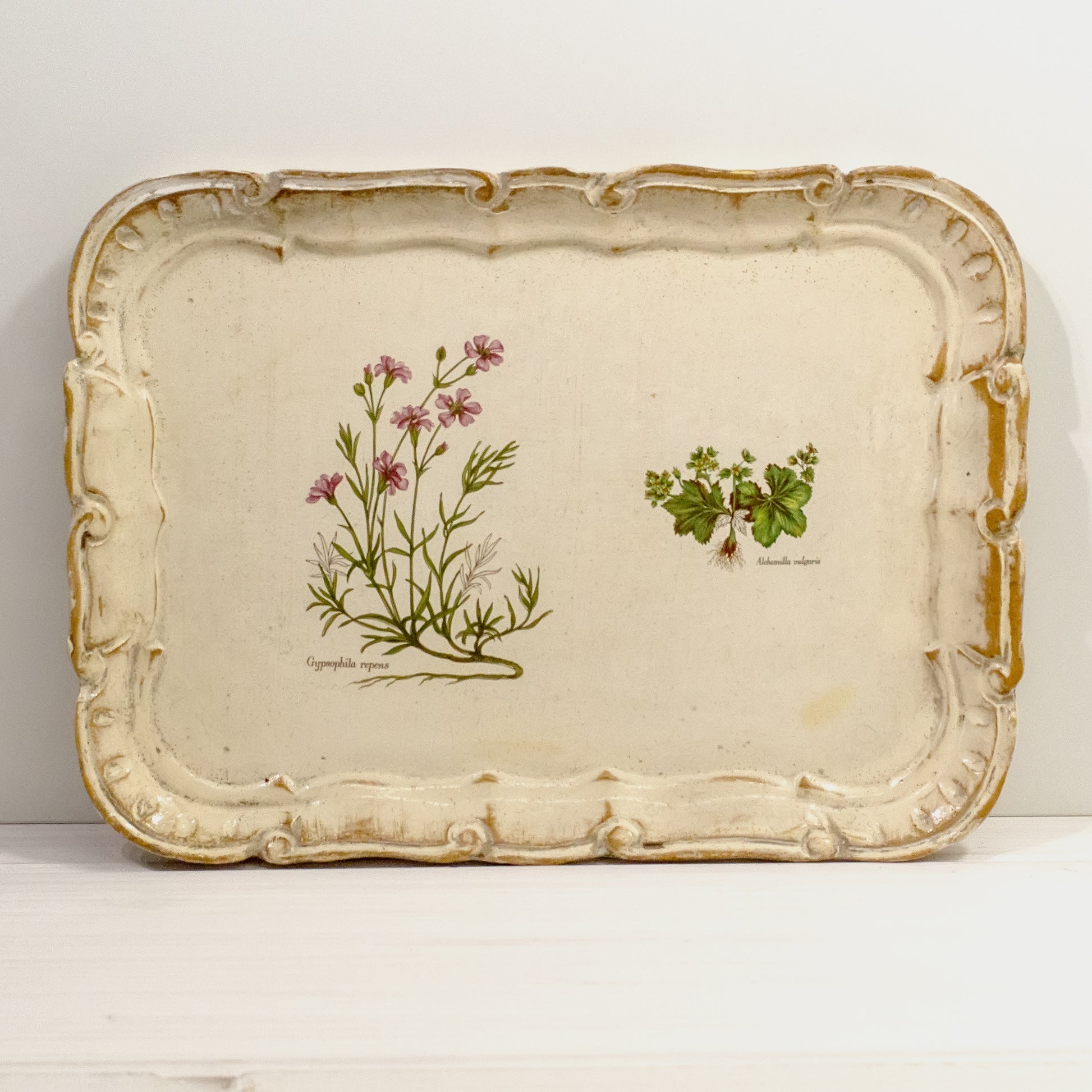 Botanical tray