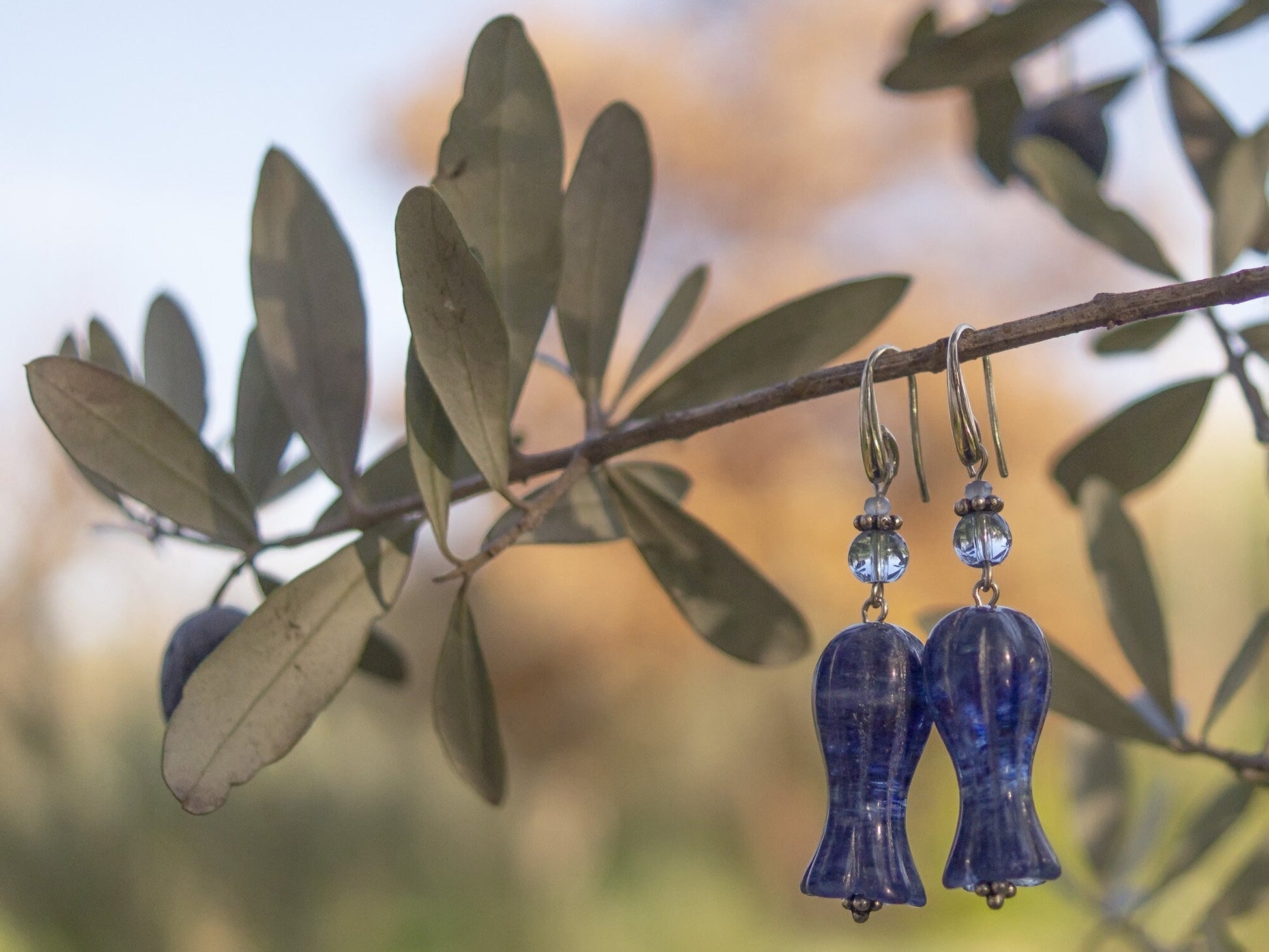 Blue flowers earrings on olive tree branch